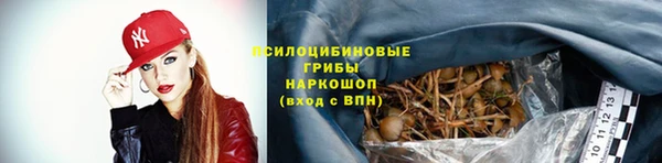 гидра Балахна
