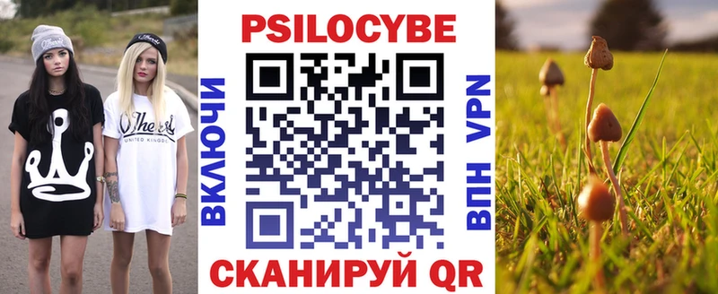 хочу наркоту  Стародуб  Псилоцибиновые грибы Psilocybe 