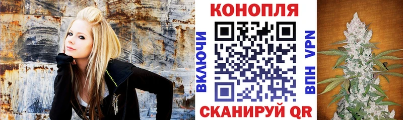 Каннабис семена  цены   Стародуб 